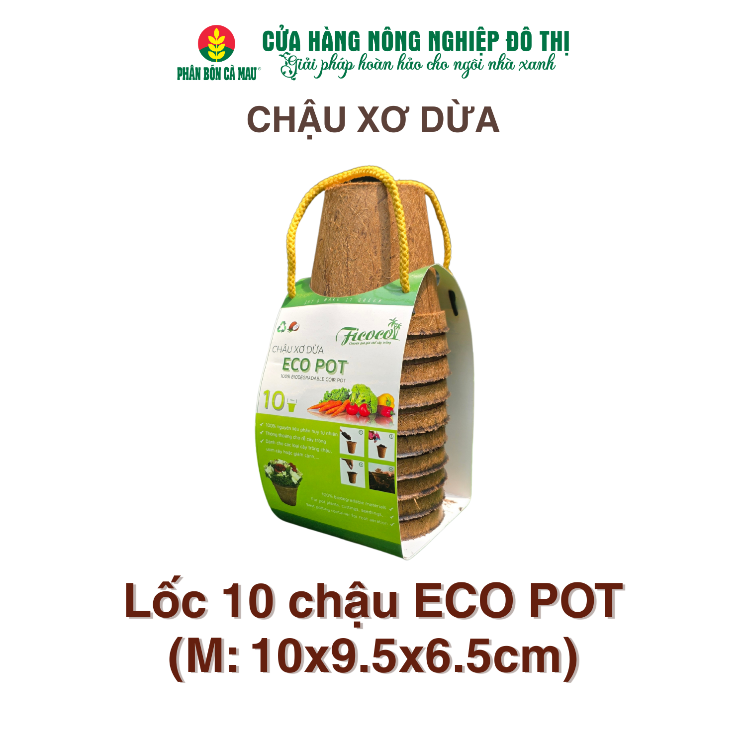 Chậu xơ dừa trồng cây - 100% tự nhiên, thân thiện môi trường -Combo 10 chậu Ecopot (M)