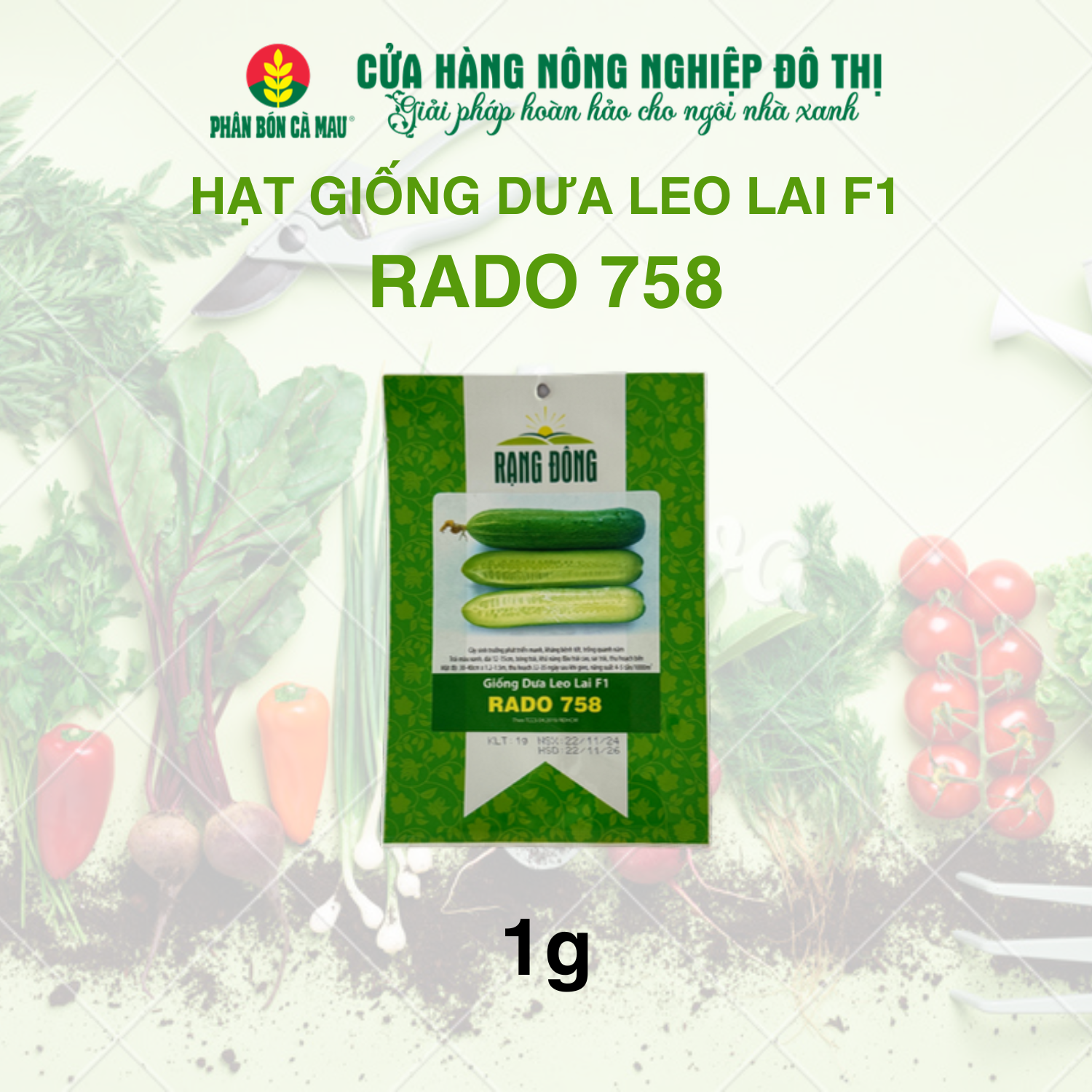 Hạt giống dưa leo lai F1 RADO 758 1g