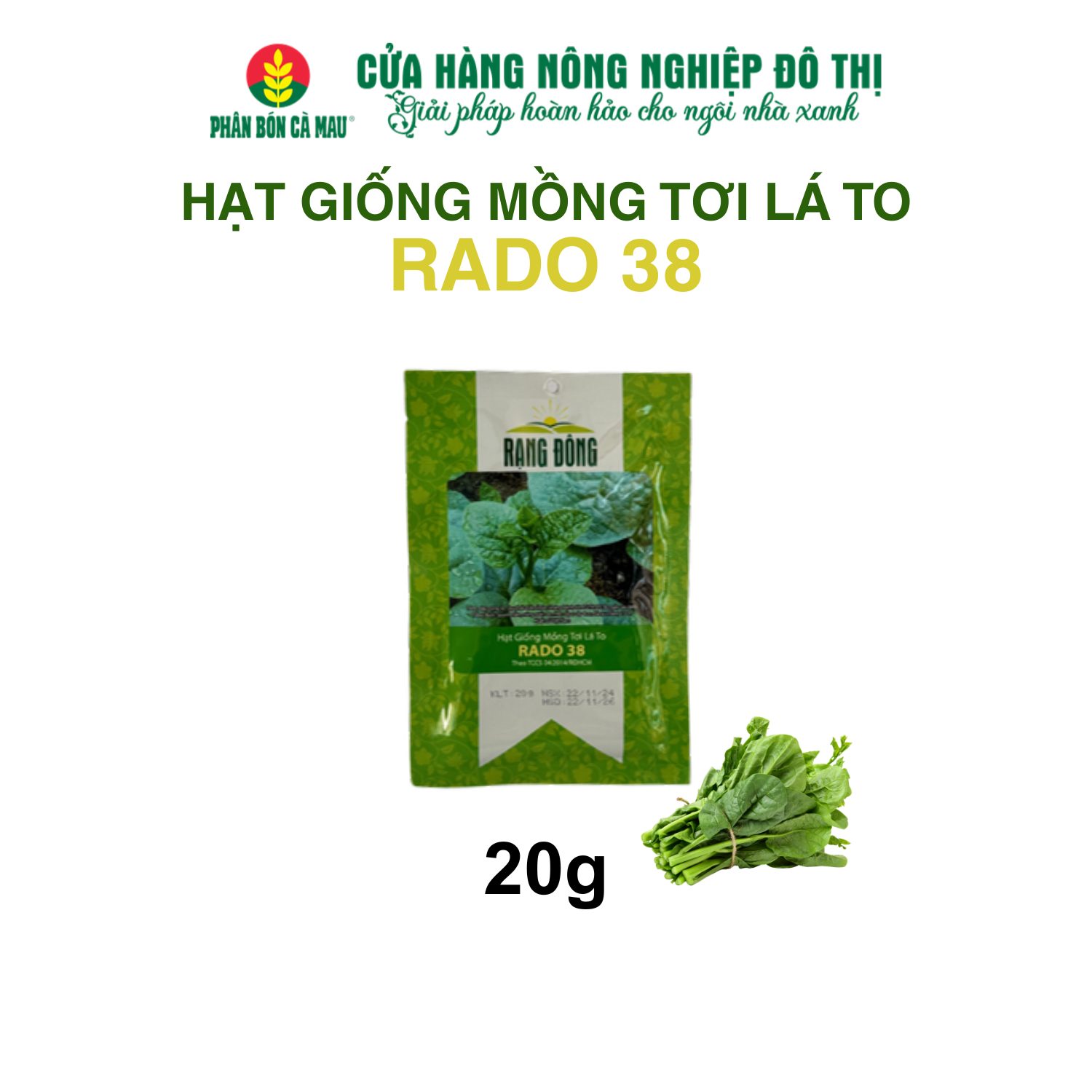 Hạt giống rau mồng tơi lá to RADO 38 20g