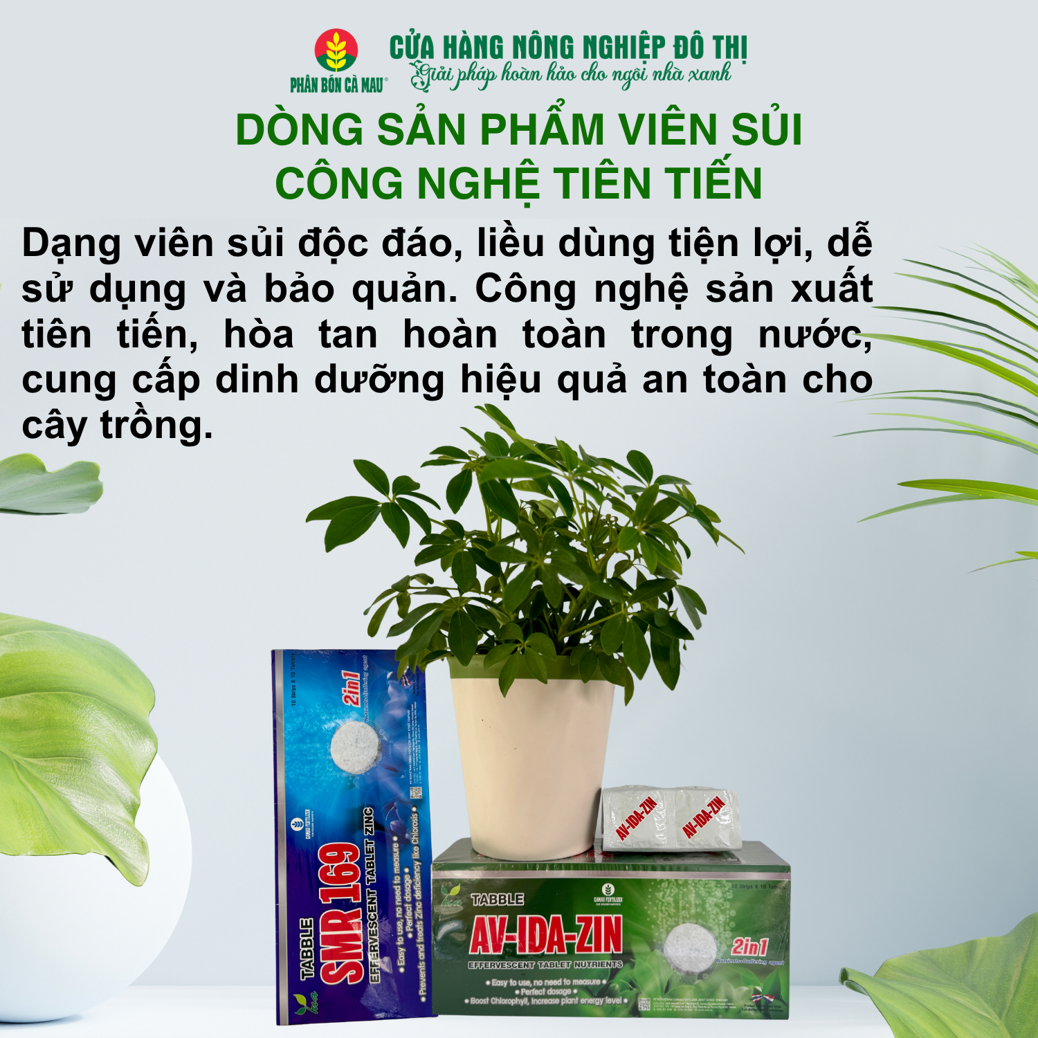 Phân bón vi lượng viên sủi SMR 169 (Nutri Table Zinc) – Bổ sung vi lượng thiết yếu -hộp (100) - Ảnh 7
