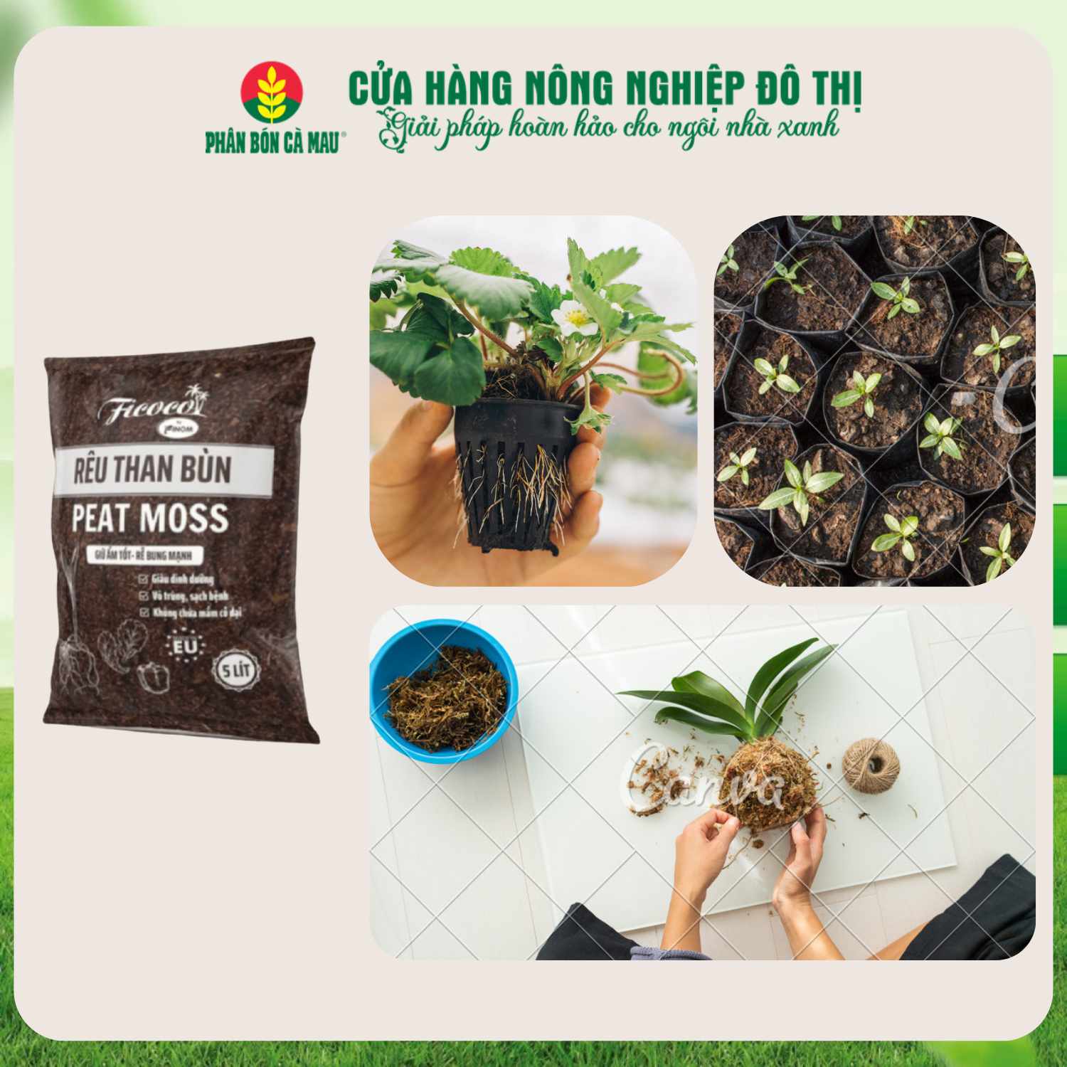 Rêu Than Bùn Peat Moss - Túi 5L (1Kg)