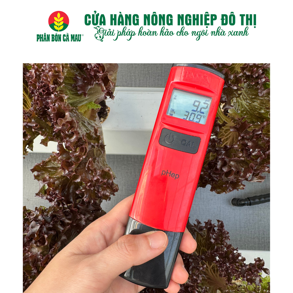 BÚT ĐO pH/ NHIỆT ĐỘ DUNG DỊCH - Model : HI98107 - Ảnh 3